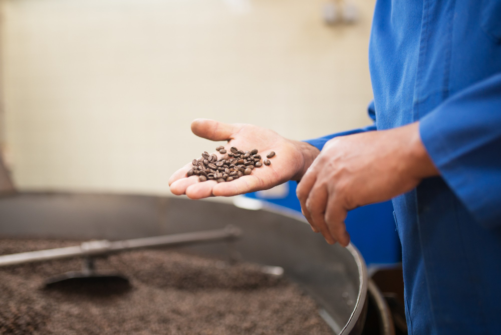 La production du café, Croissance fulgurante de l'industrie du café : 2023 apporte un boost énergétique