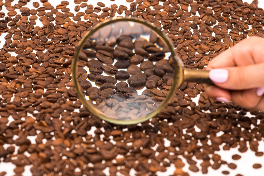 L'origine des grains de café : Comment cela influence les marques de café et les choix des consom, Le processus de préparation : de la mouture à l'infusion